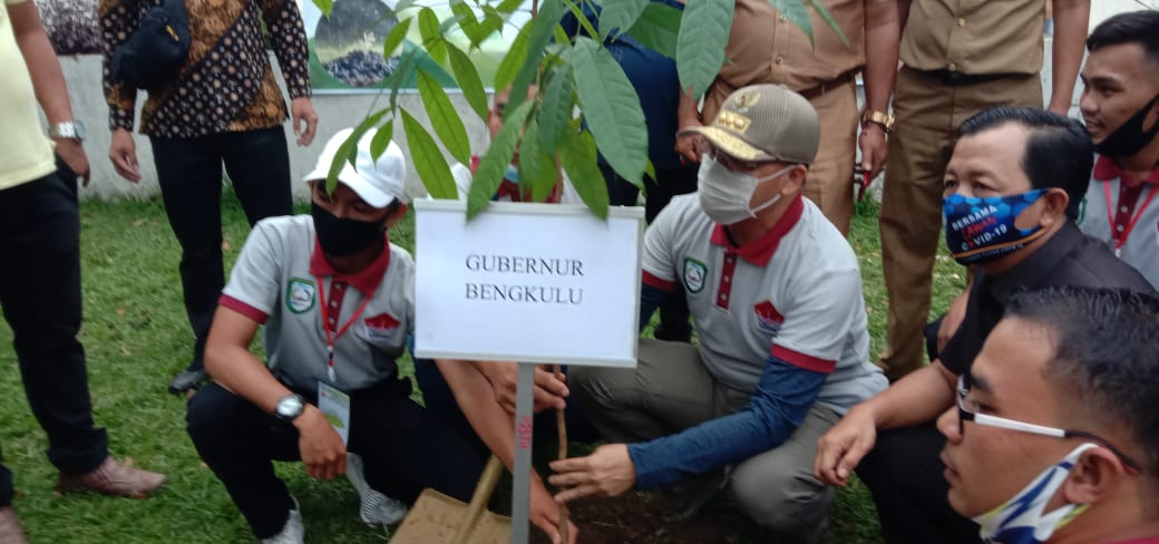 Gubernur Bengkulu Tanam Pohon di Kepahiang