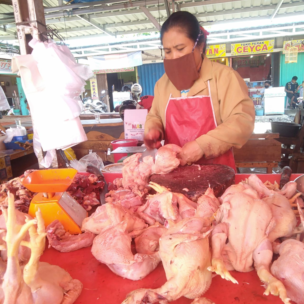 Stok Langka, Harga Ayam di Kota Bengkulu Naik Perlahan Capai Rp 36 Ribu/Kg
