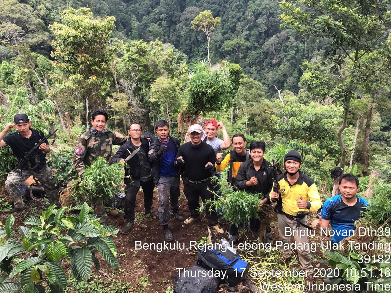 Polda Bengkulu ‘Kantongi’ Identitas Pemilik Ladang Ganja