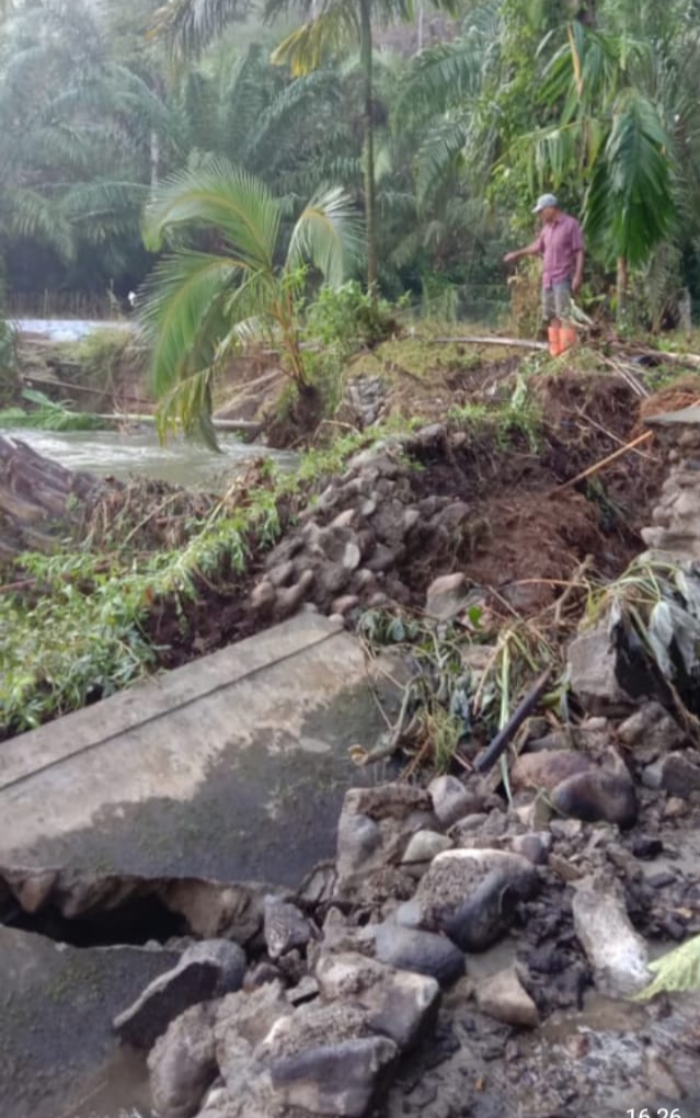 Irigasi Ambruk, Belasan Hektar Sawah di BS Terancam