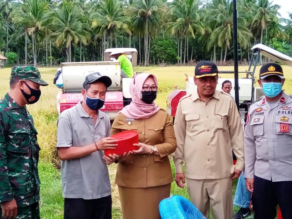 Plt Bupati Kaur Minta Petani Optimalkan Penggunaan Alsintan