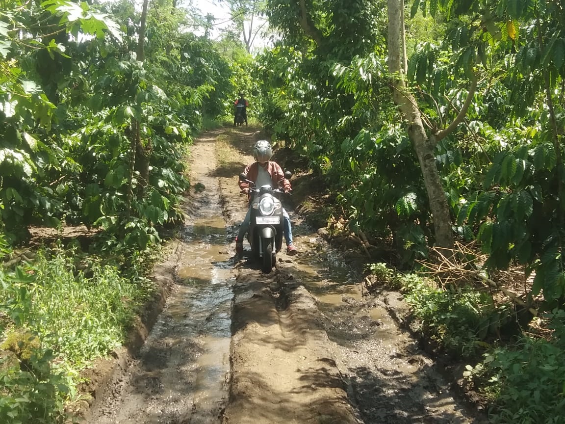 Petani Kopi Kepahiang Harapkan JUT