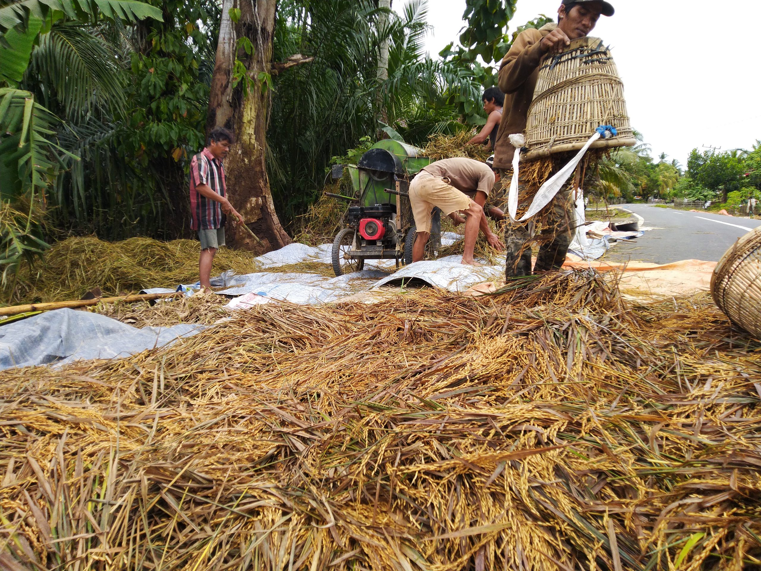 Korban Banjir Butuh Bantuan Air Bersih dan Makanan