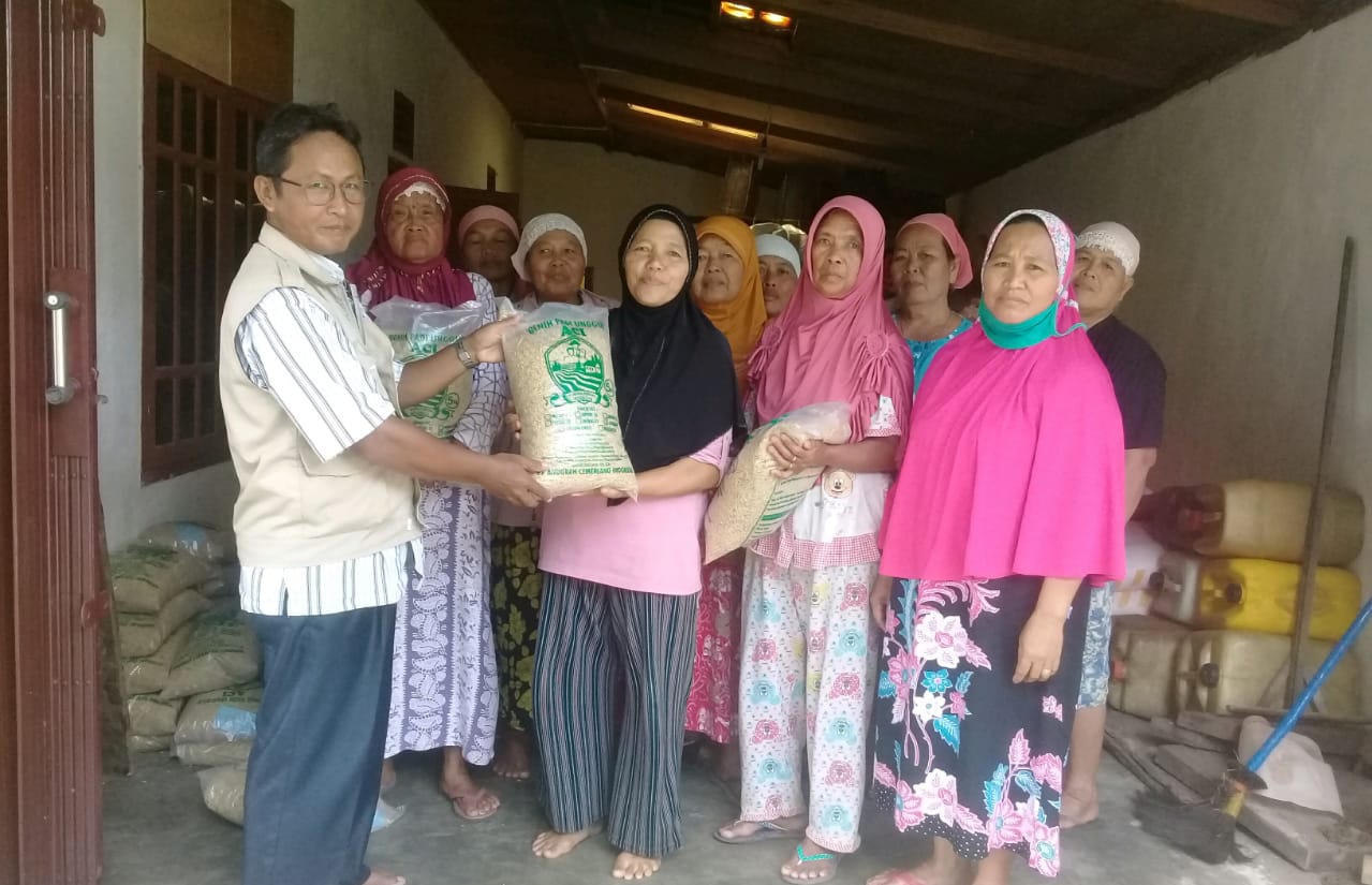 Petani BS Dapat Tambahan Benih Padi dan Jagung