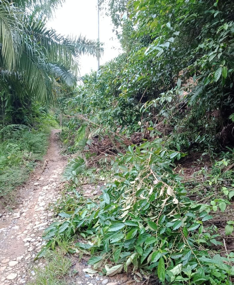 Longsor, Desa Suban Kabupaten Seluma Terancam Terisolir