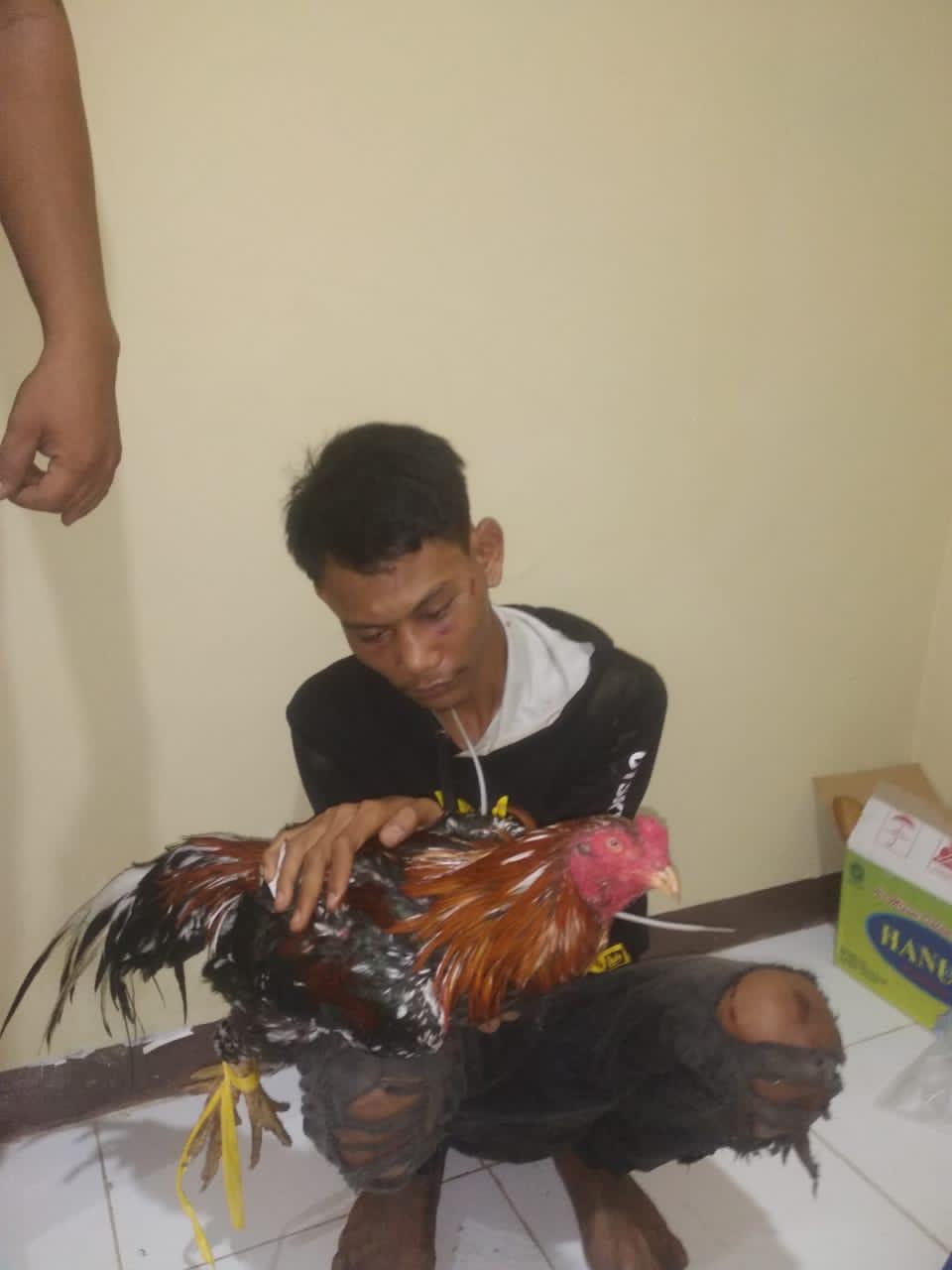 Napi Asimilasi di Bengkulu Berulah Lagi