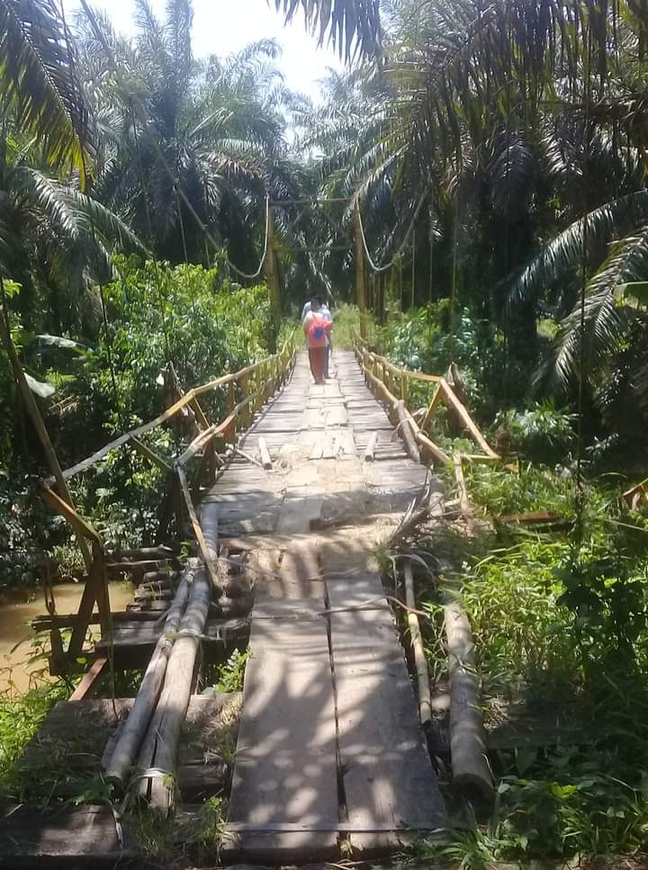 Jembatan Rusak, Ancam Petani di BS