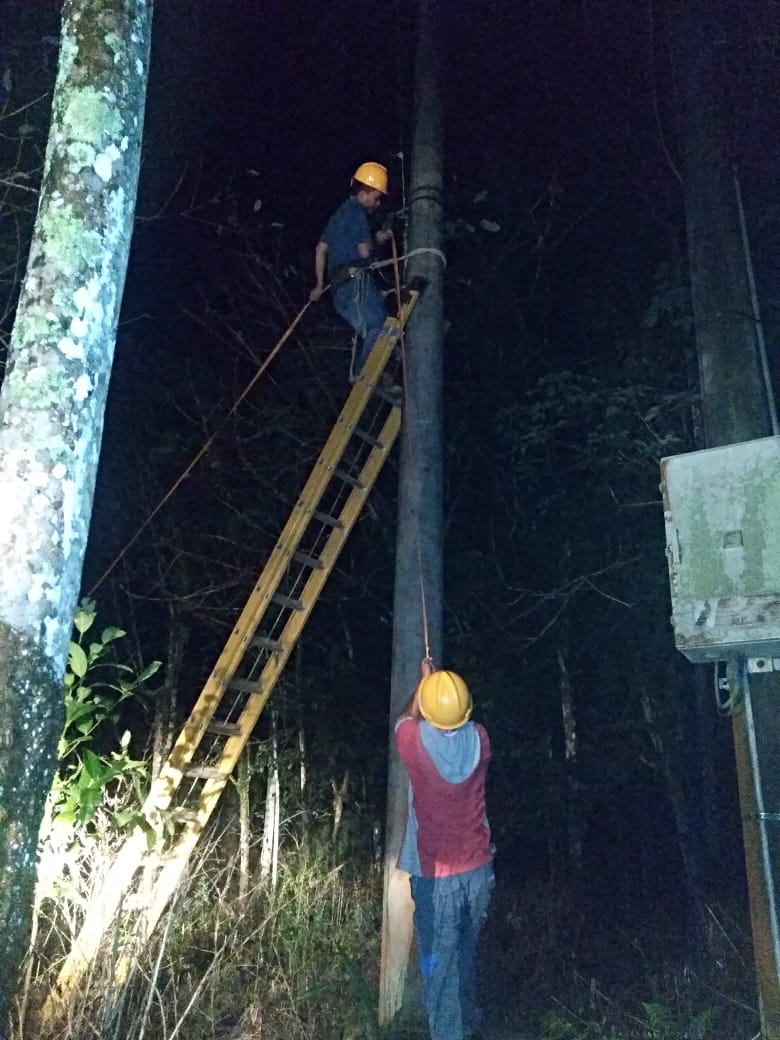 PLN BU Imbau Masyarakat Laporkan Potensi Berbahaya