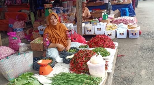 Harga Cabai di Bengkulu Utara Semakin Pedas