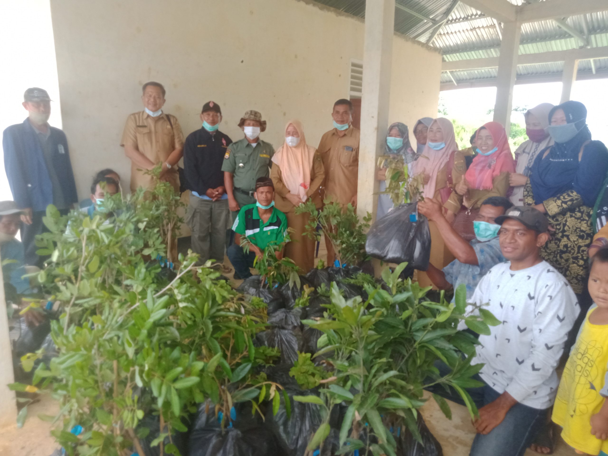 Bantu 2000 Bibit Kayu dan Buah untuk Warga Trans Batu Ampar