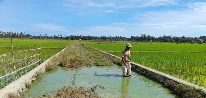 11 Tahun Dibangun, Harapkan Perbaikan