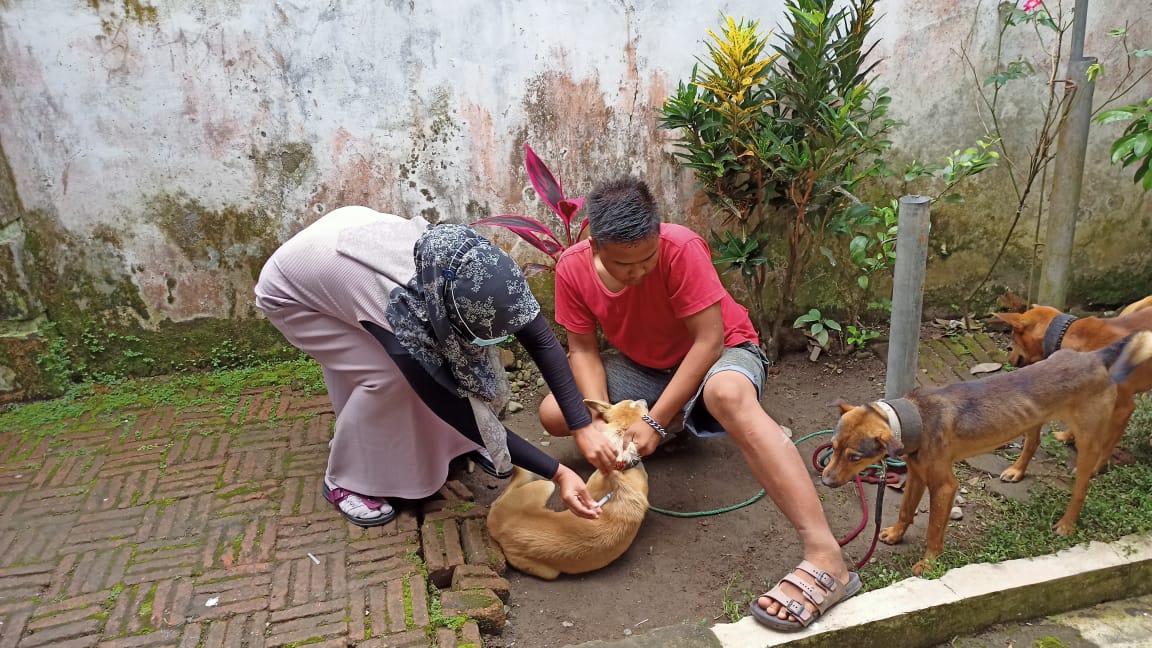 Kasus Rabies Mengancam Rejang Lebong