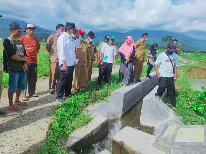 Irigasi Sawah  Kemumu Jebol, Pemkab BU akan Audiensi ke Gubernur