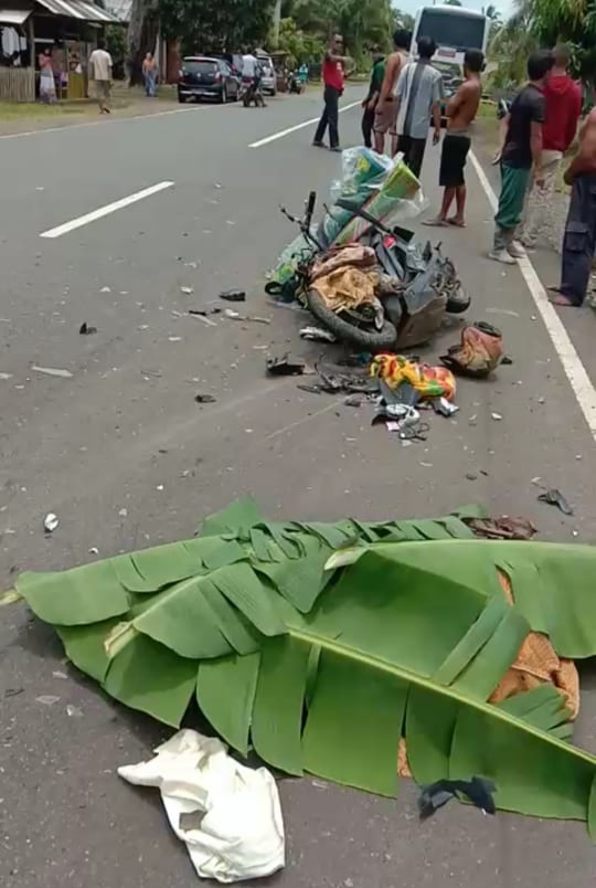 Dihantam Bus Damri, Pengendara Motor di Bengkulu Utara Tewas