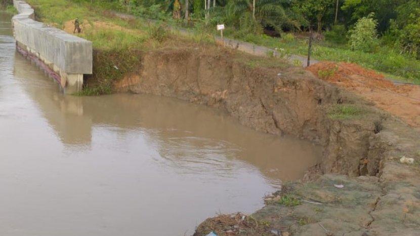 Erosi Sungai Selagan Mukomuko Semakin Mengganas