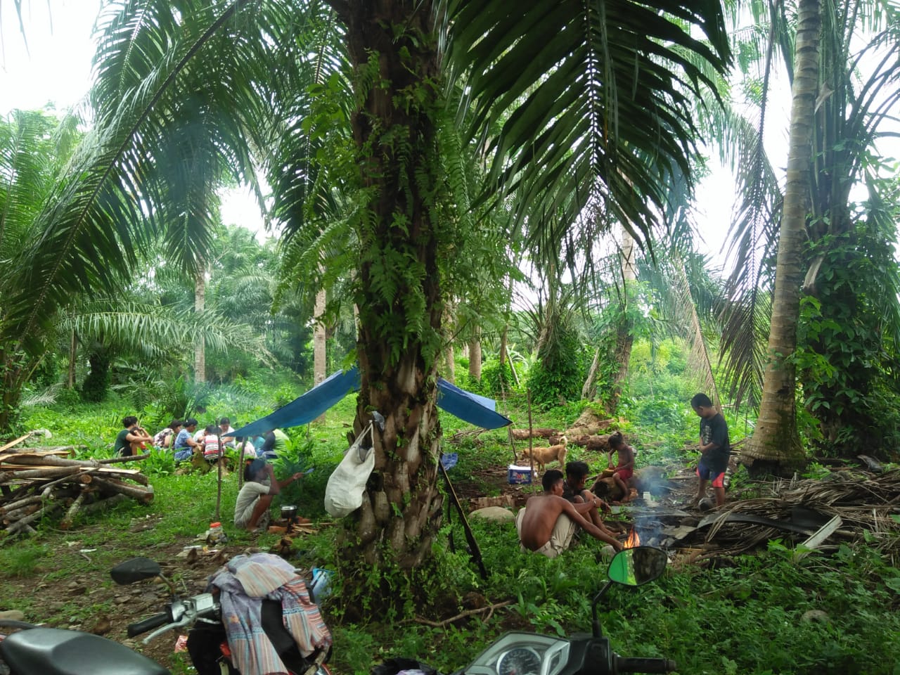 Datang Dari Bukit 12 Jambi, Suku Anak Dalam Jualan Obat di Bengkulu