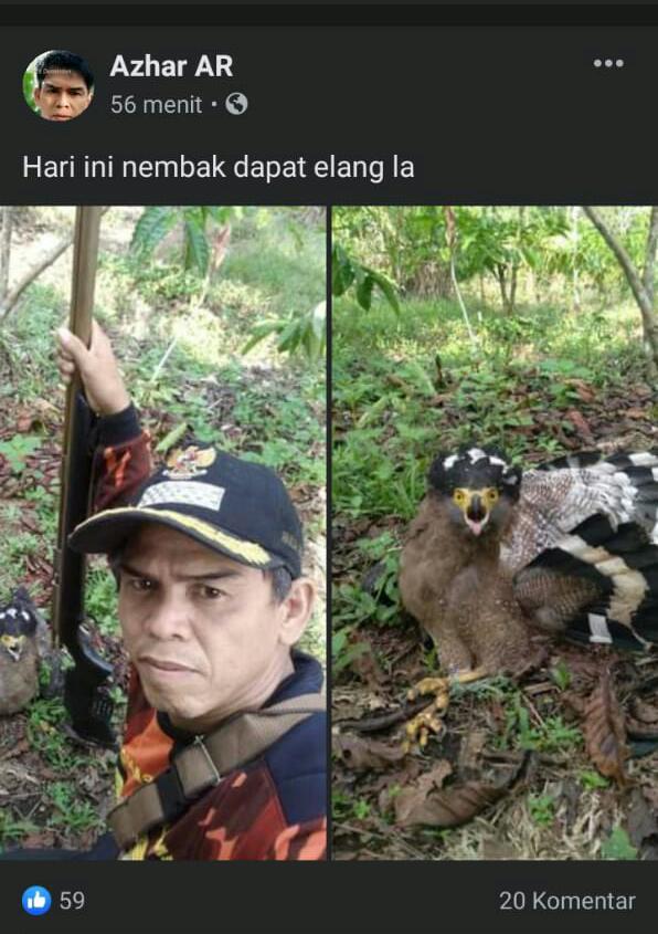 Kasus Burung Elang Masih Bergulir, Polres BU Bakal Panggil Saksi Ahli