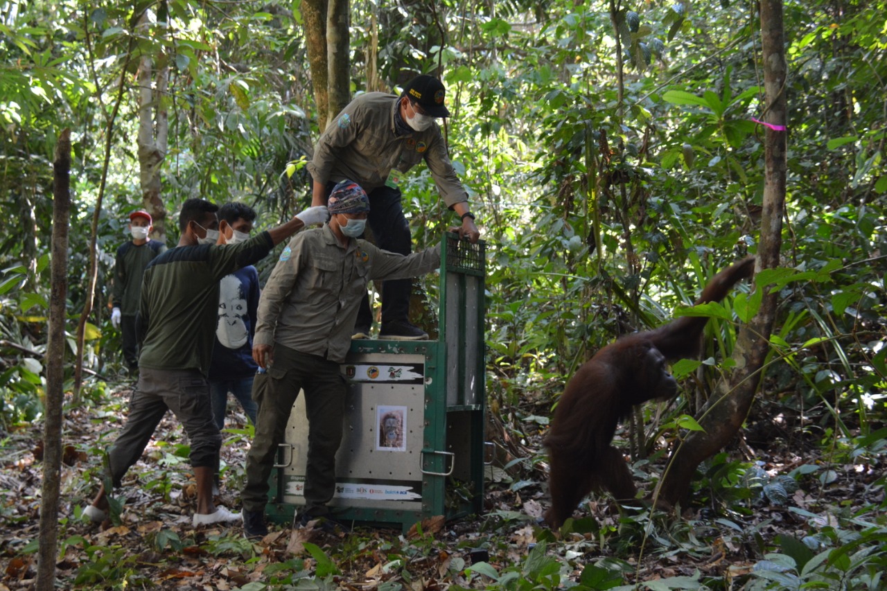 BCA Terus Dukung Pelestarian Satwa Langka Indonesia