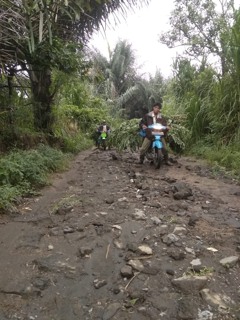 Kampung Kopi di Rejang Lebong Butuh Perhatian