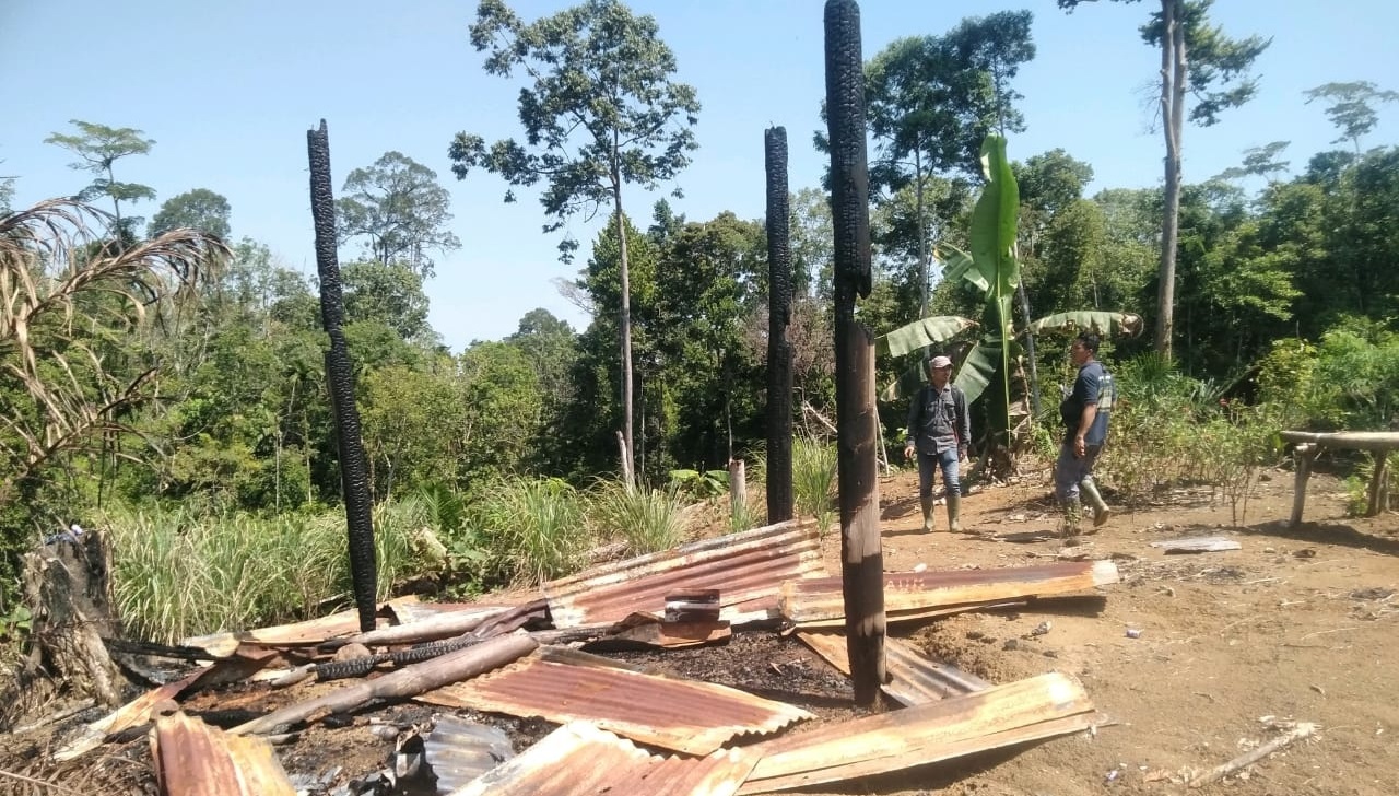 Warga Mukomuko Dihebohkan Sejumlah Pondok di Kawasan Hutan Terbakar