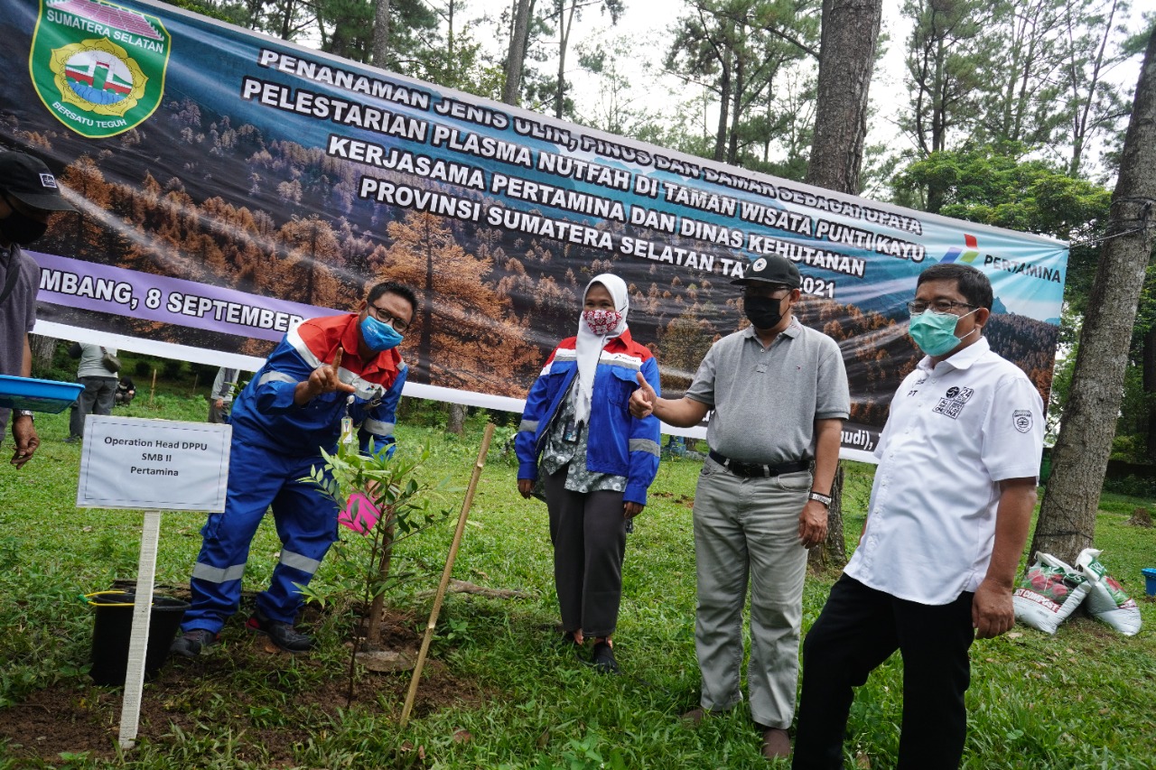 Pertamina Gandeng Dinas Kehutanan Provinsi Sumatera Selatan Lestarikan Pohon Unglen