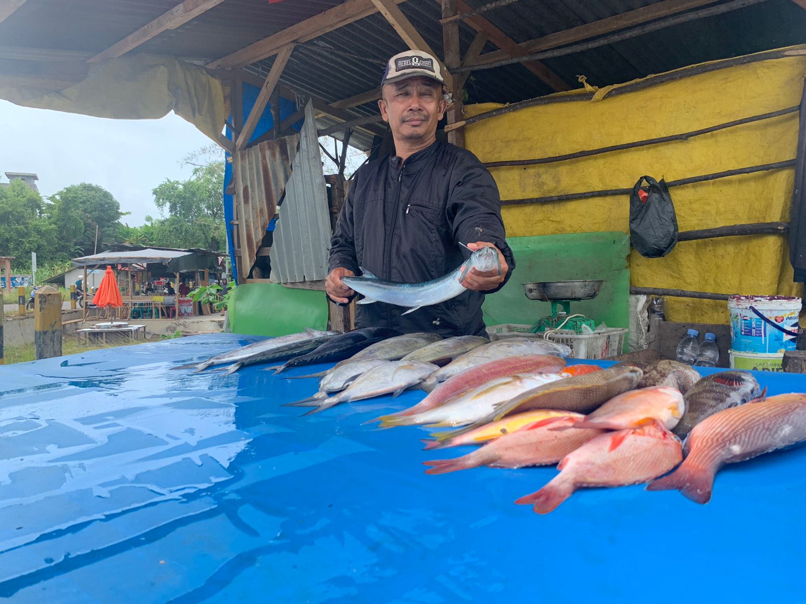 Harga Ikan Melonjak