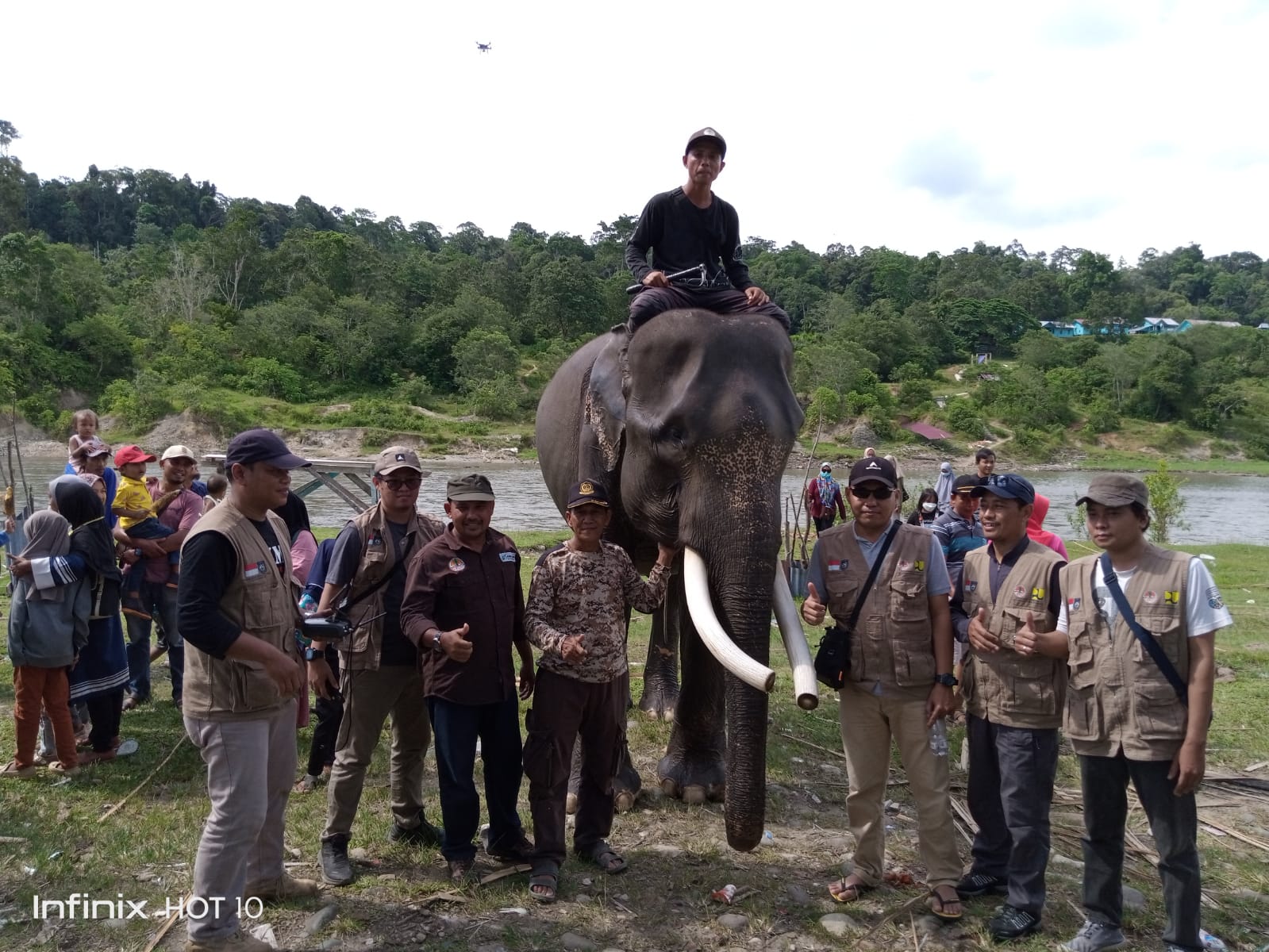 Populasi Gajah Sumatera Semakin Mengkhawatirkan