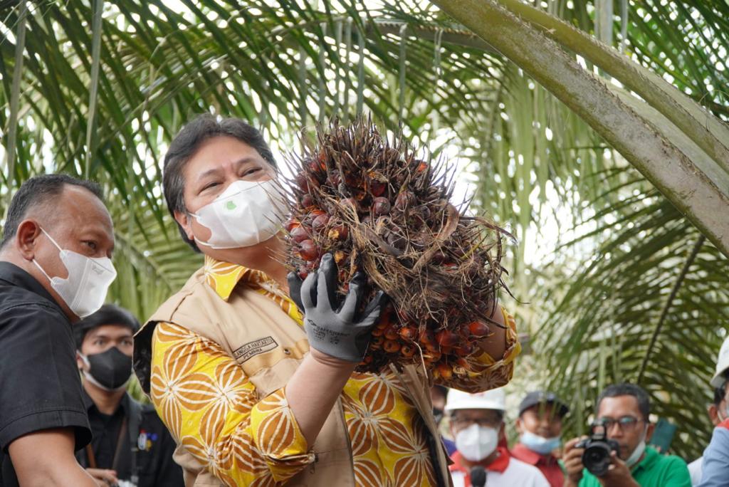 Airlangga Mengaku Menerima Aspirasi Perpanjangan Jabatan Jokowi dari Petani Sawit