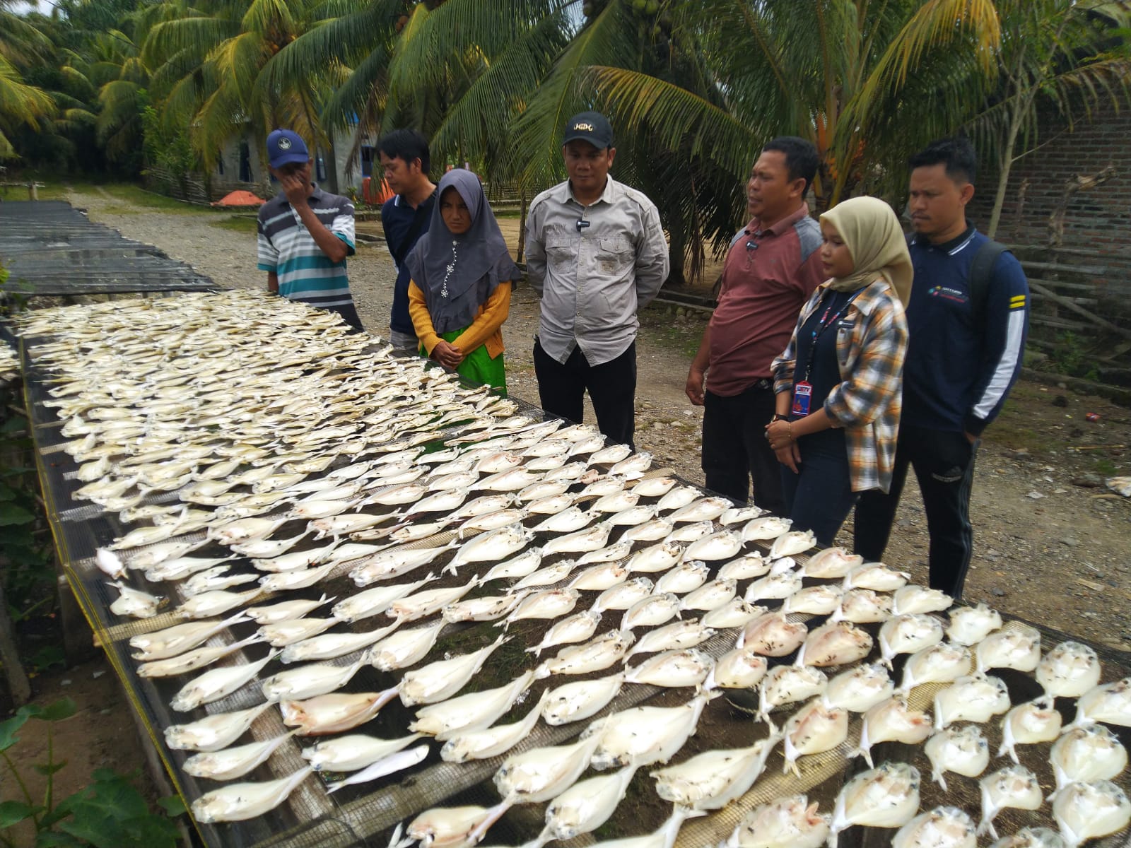 Jonaidi SP: Ikan Asin Desa Muara Maras Sampai ke Negeri Cina