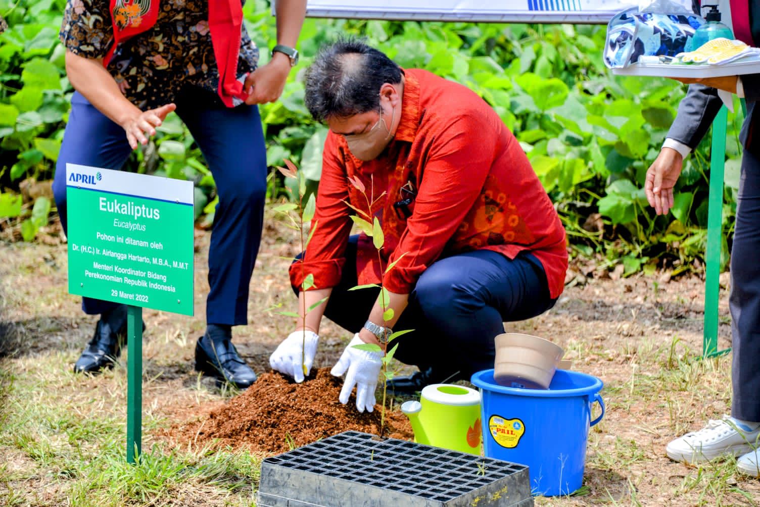 Menko Airlangga: Reforestrasi Dorong Akselerasi Pertumbuhan Green Economy