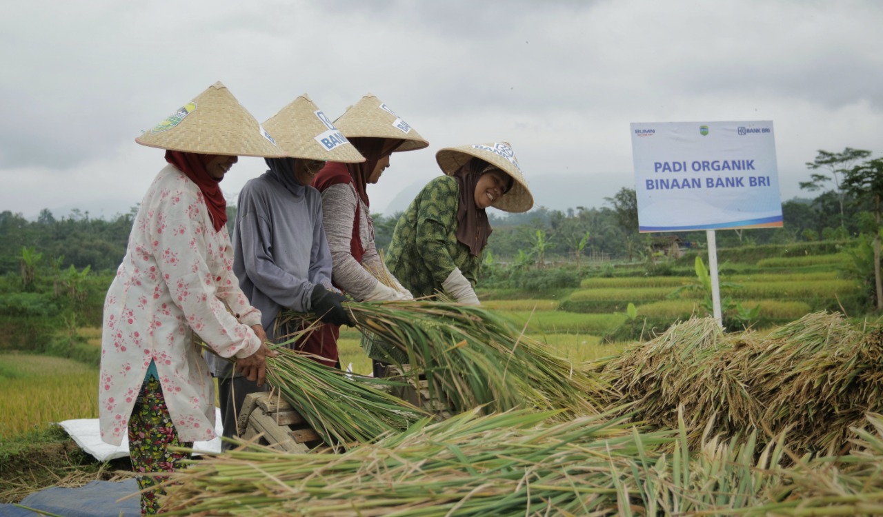 Pembiayaan Ultra Mikro Selamatkan Petani dari Jeratan Renternir