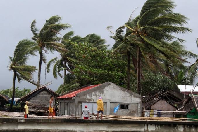 Pemkot Pangkas Pohon Beresiko Tumbang