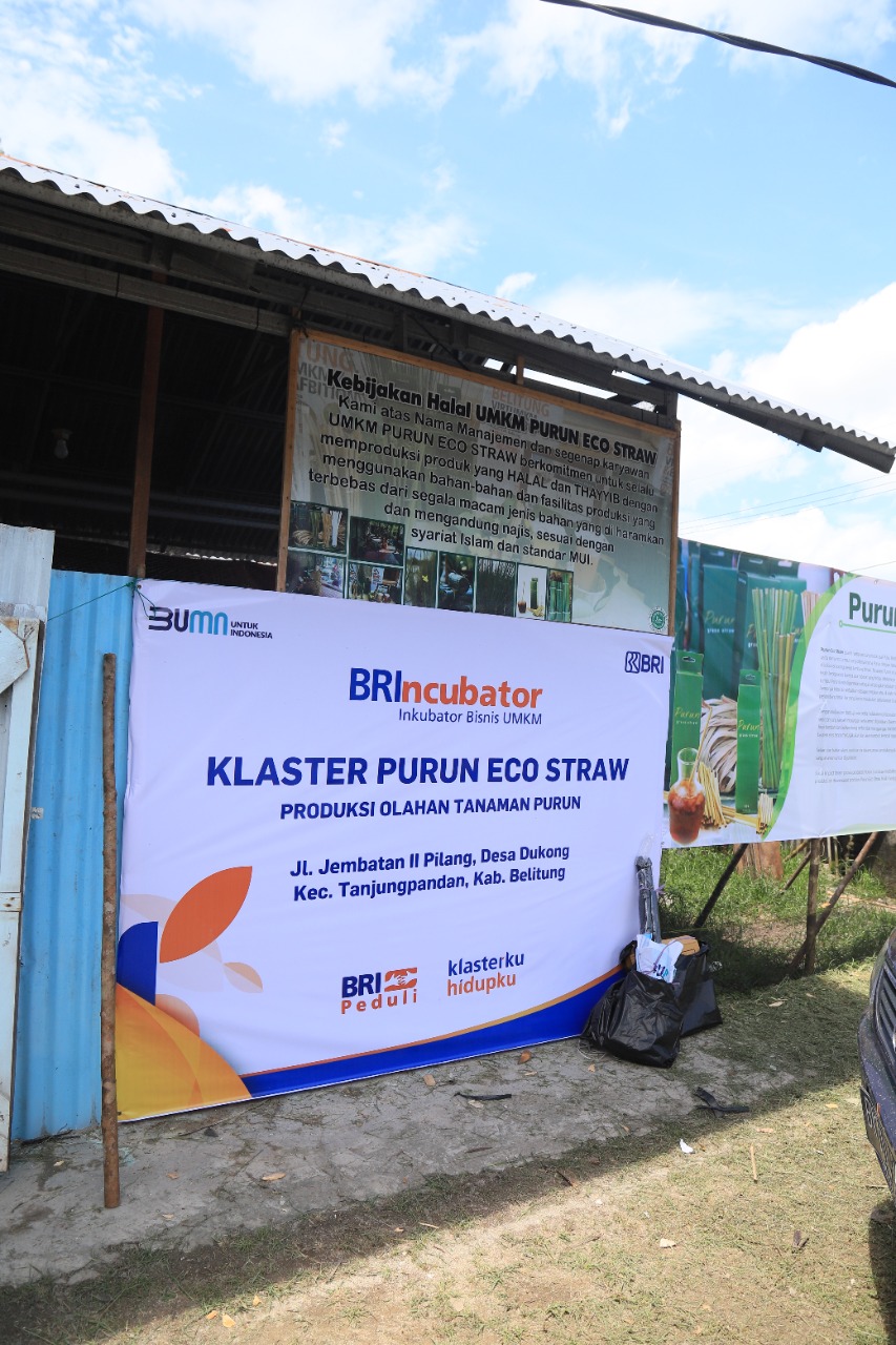 Jadi UMKM Ramah Lingkungan, Klaster Usaha Binaan BRI Purun Eco-Straw Mendapat Apresiasi di Sidang Umum PBB   