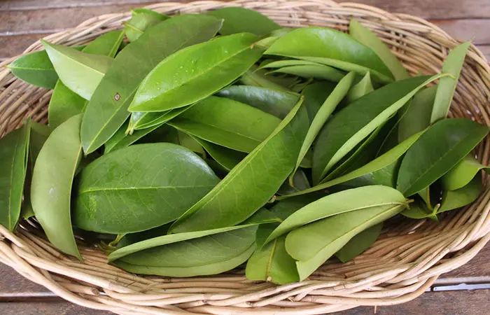 Sudah Sejak Lama Dijadikan Obat Herbal Tradisional, Ini Dia 10 Manfaat Orang-aring Untuk Kesehatan Tubuh 