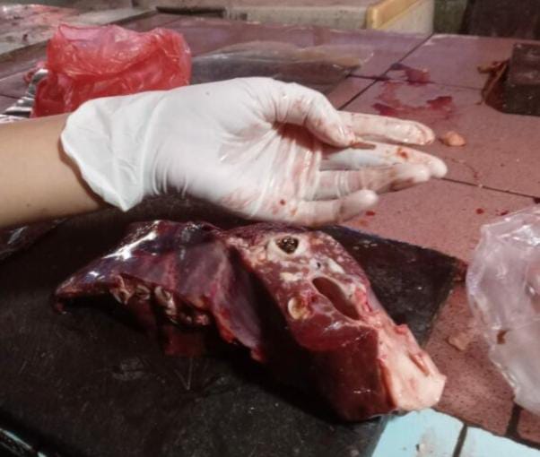 Daging di Pasar Minggu dan Panorama Kota Bengkulu Aman Dikonsumsi dan Halal