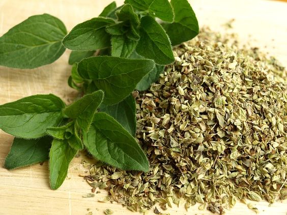 Inilah 7 Manfaat Oregano bagi Kesehatan, Tanaman Herbal Obat Drepresi