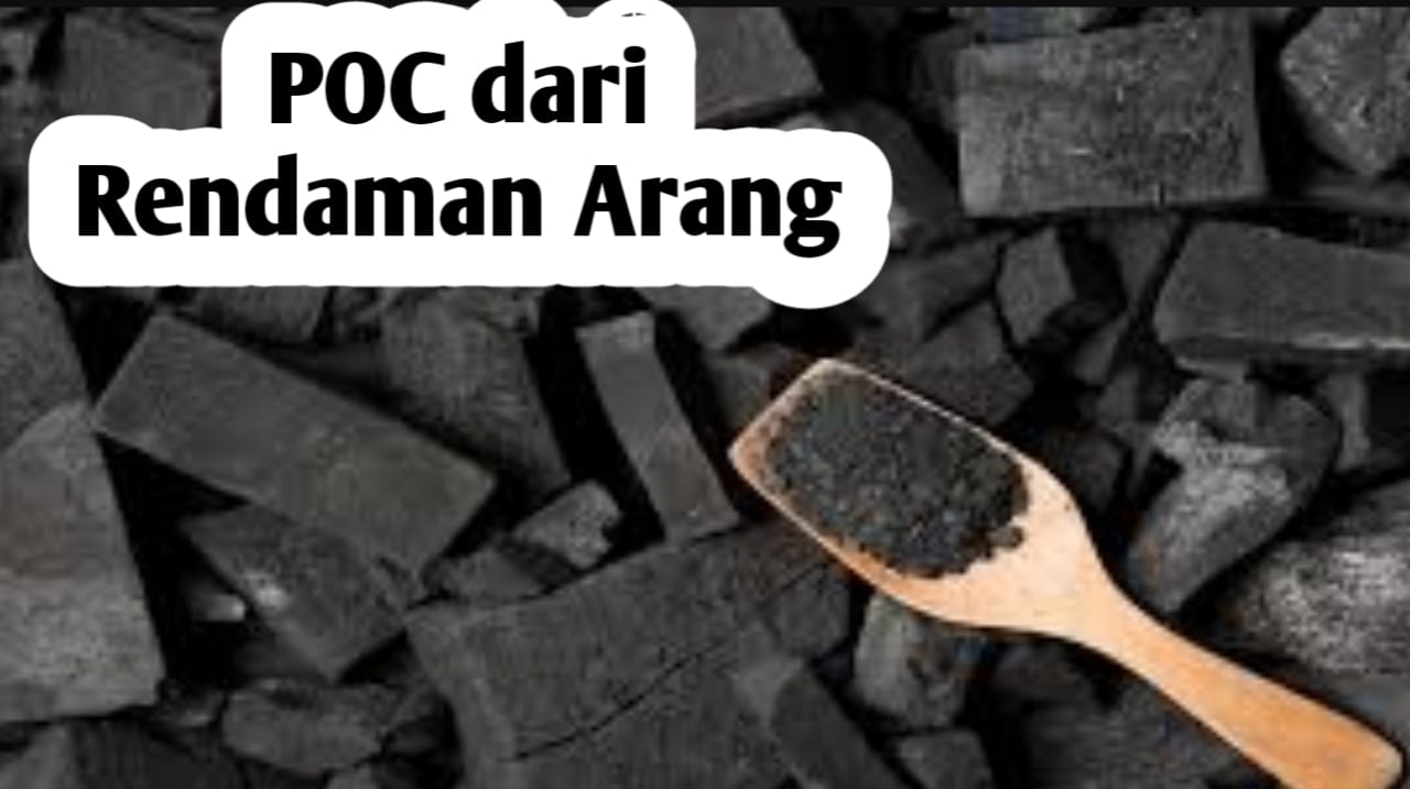 6 Manfaat Pupuk Cair dari Air Rendaman Arang