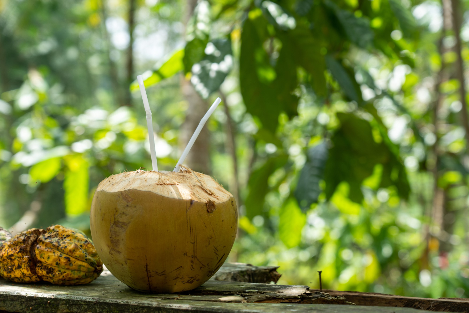 Benarkah Air Kelapa Bisa Menggantikan Minuman Elektrolit? Ini Faktanya