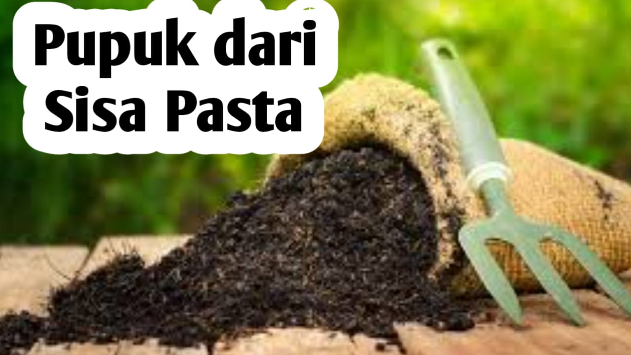 Membuat Pupuk Organik dari Sisa Pasta, Ini 4 Manfaatnya Bagi Tanaman