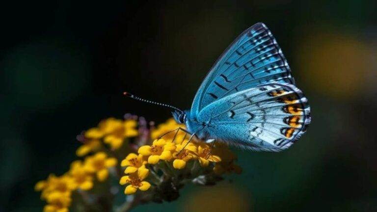 Kenapa Hewan Jarang Berwarna Biru? Ini Dia Beberapa Penyebabnya