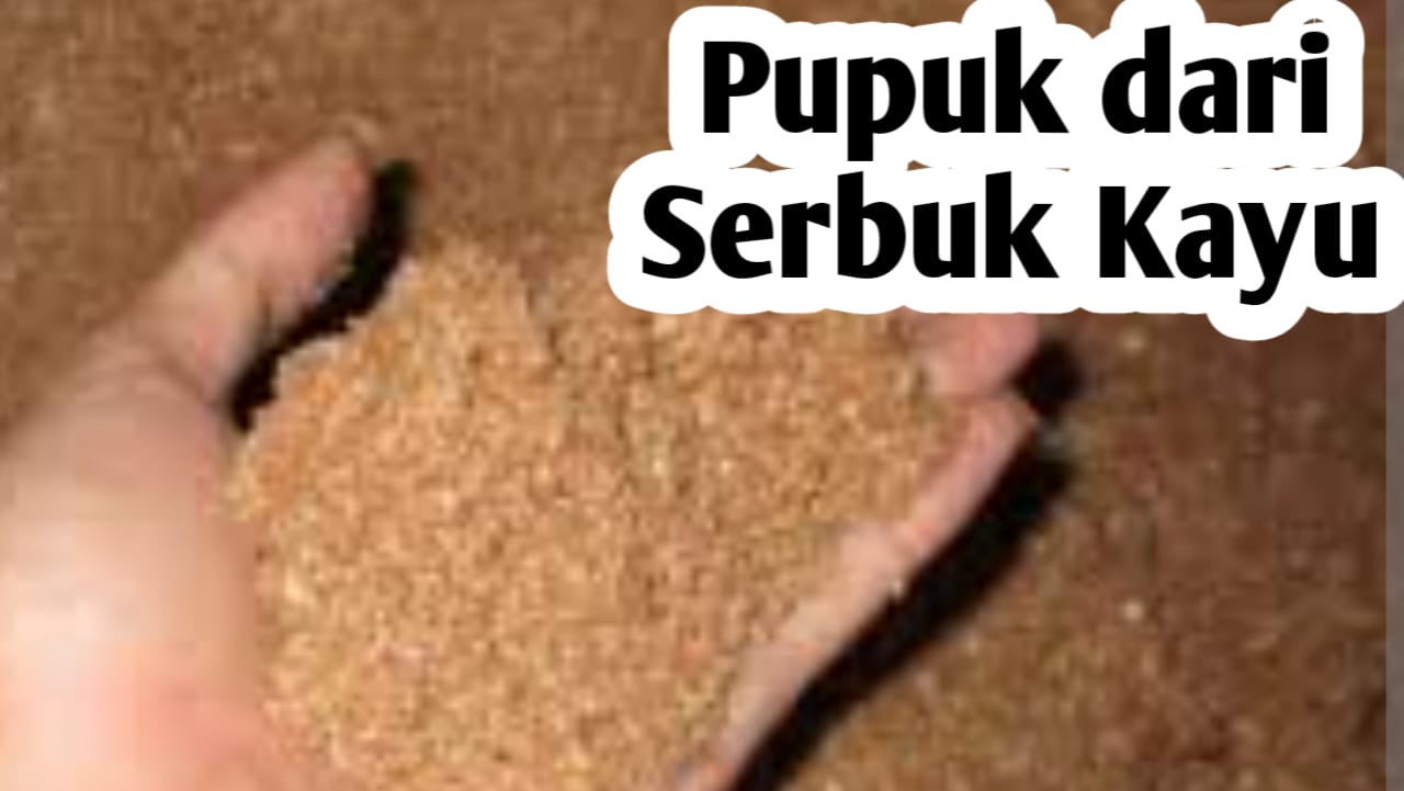 Membuat Pupuk Organik dari Serbuk Kayu, Ini Manfaatnya Bagi Tanaman