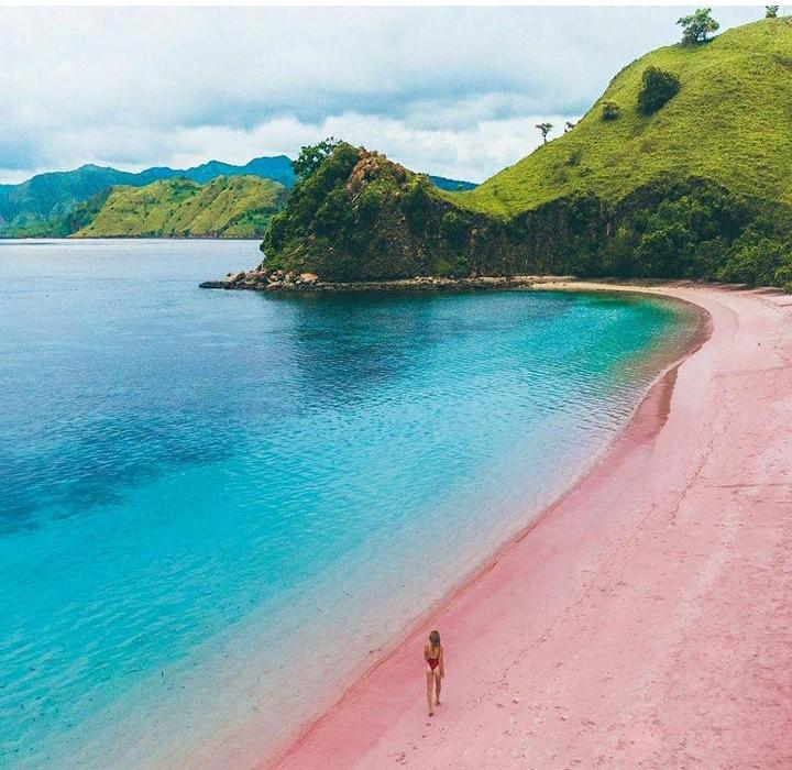 Indahnya Pantai Tangsi, Pantai Berwarna Merah Muda di Taman Nasional Komodo NTT 