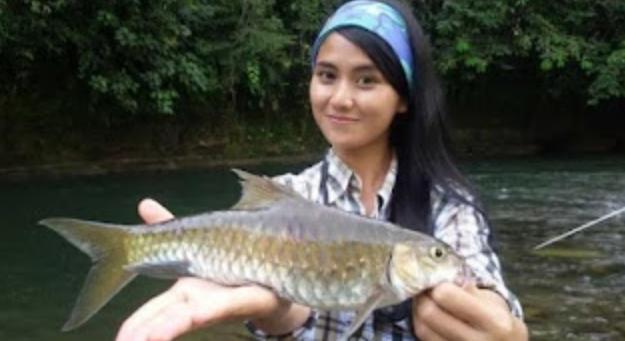 Tips Mencari Spot Keberadaan Ikan di Sungai Agar Hasil Melimpah