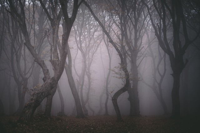 Orang Bunian, Misteri yang Tersimpan di Hutan Bukit Barisan!