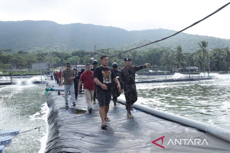 KKP Sidak Tambak Udang Karimun Jawa Resahkan Masyarakat