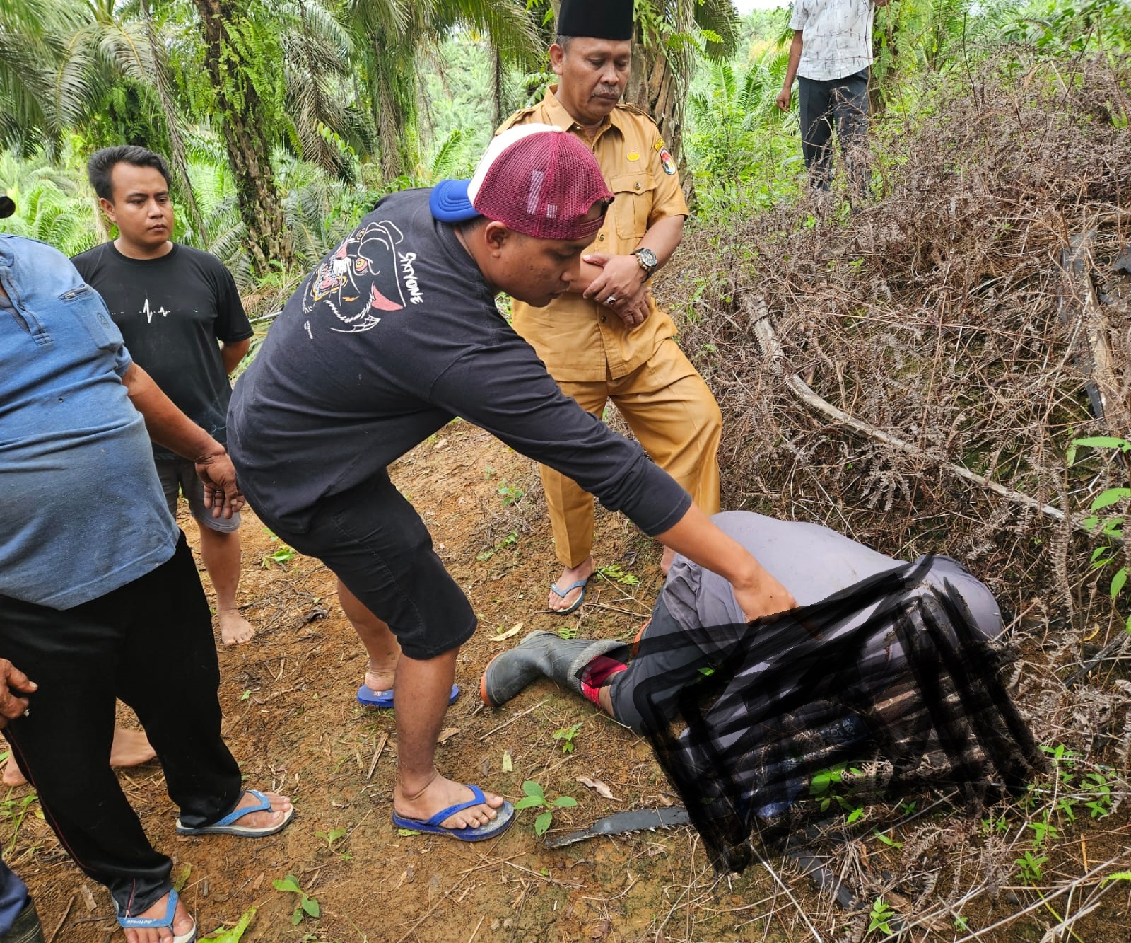 Warga Sidodadi Mukomuko Ditemukan Meninggal di Kebun Sawit, Ini Penyebabnya