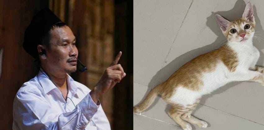 Keutamaan Memiliki Banyak Kucing di Rumah, Gus Baha Ungkap Faktanya