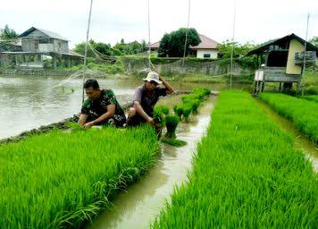 Pemkot Bengkulu Usulkan Bantuan 15 Ton Benih Padi ke Kementan