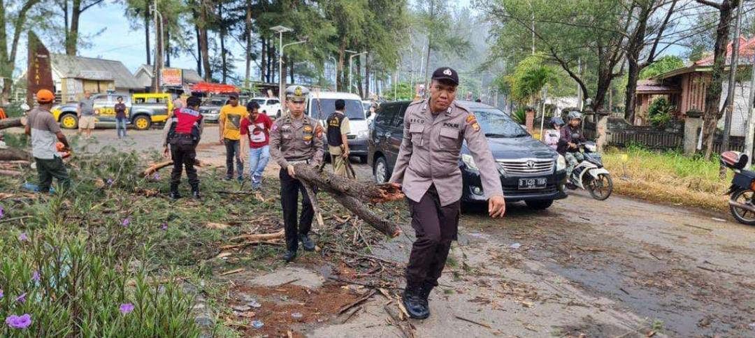 Kawasan Pantai Panjang Bukan Kewenangan Kota, Pemkot Rutin Pangkas Pohon di Median Jalan