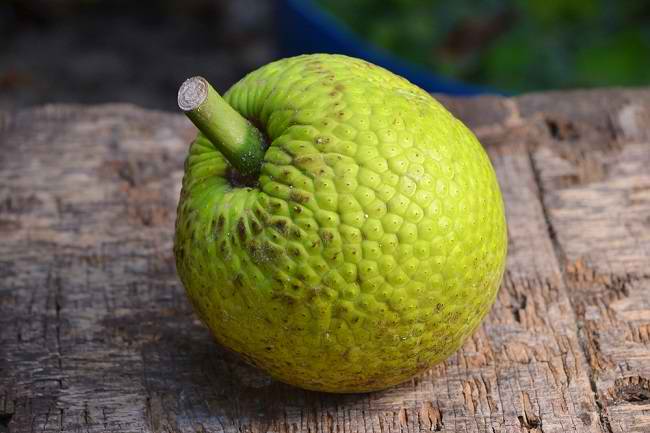 Ini Manfaat Buah Sukun bagi Kesehatan Tubuh